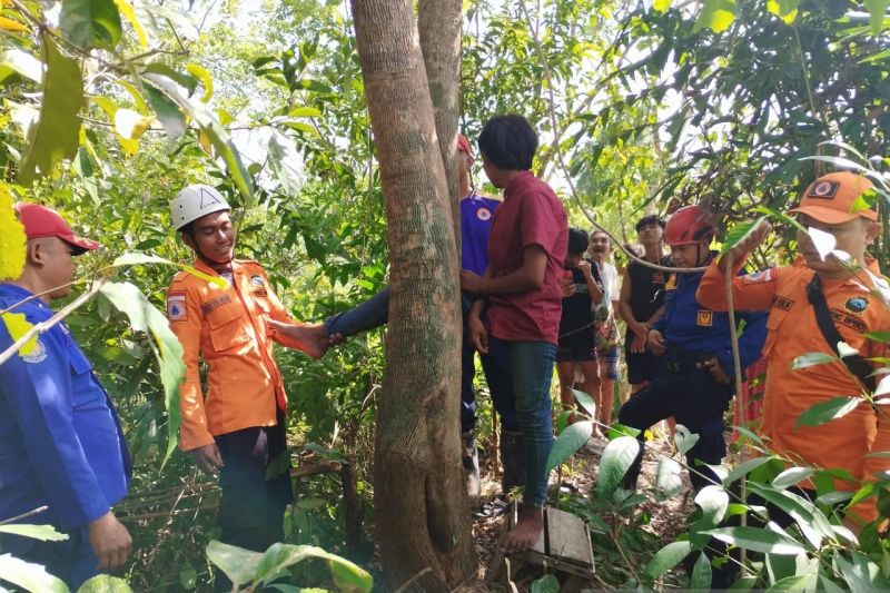 BPBD Belitung Evakuasi Anak Terjepit di Pohon Saat Main Layangan