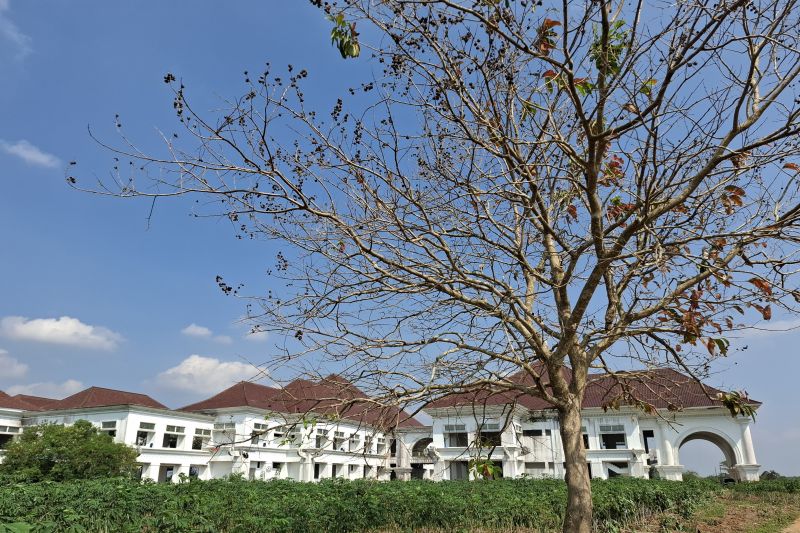 Dukungan Pembangunan Kota Baru Terhadap Metropolitan Lampung Raya
