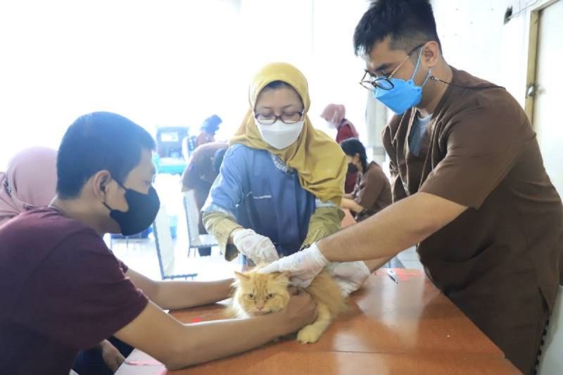 Vaksinasi Rabies Gratis untuk 50 Ekor Hewan di Kota Tangerang