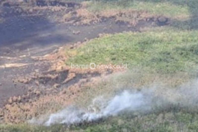 Kebakaran Hutan di Muara Enim Masih Berasap, Upaya Pemadaman Terus Dilakukan