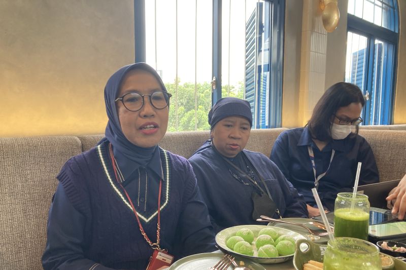 Direktur Penyuluhan, Pelayanan, dan Hubungan Masyarakat Direktorat Jenderal Pajak (DJP) Kementerian Keuangan (Kemenkeu) Dwi Astuti. ANTARA/Imamatul Silfia