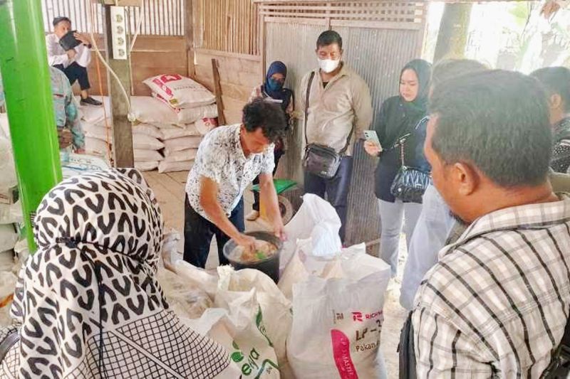 Pelatihan UMKM di Barito Utara, Optimalkan Pengolahan Pakan Ternak