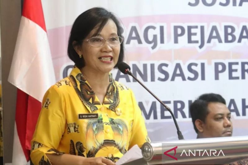 Pemkot Jayapura Perlu Rancangan Induk Pembangunan Industri untuk Tingkatkan Ekonomi