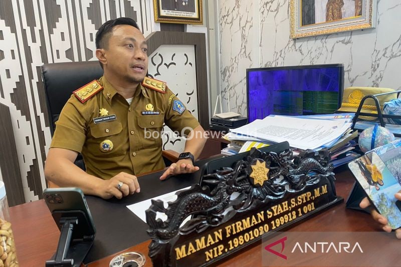 Kepala DPMPTSP Kendari, Maman Firman Syah. (ANTARA/Azis Senong)