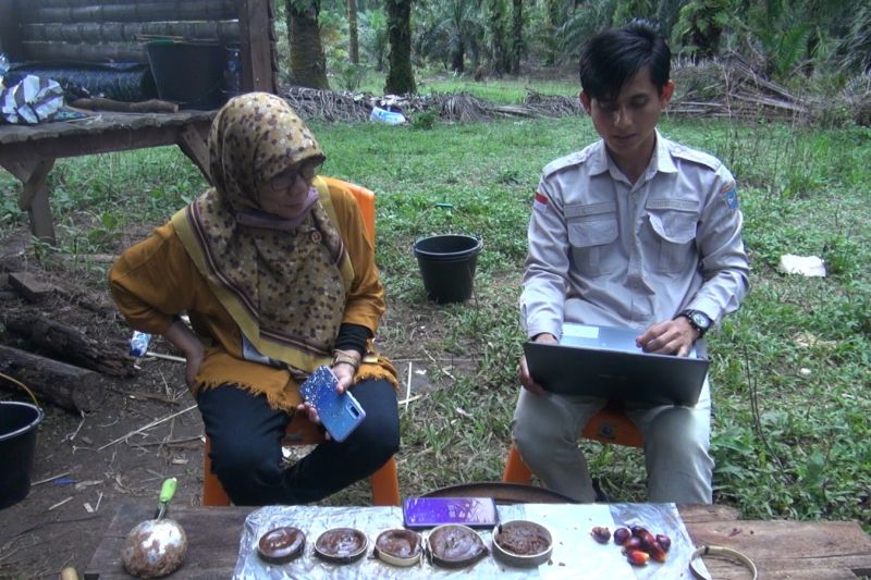 BRIN Uji Coba Pembuatan Gula Sawit untuk Tingkatkan Ekonomi Petani