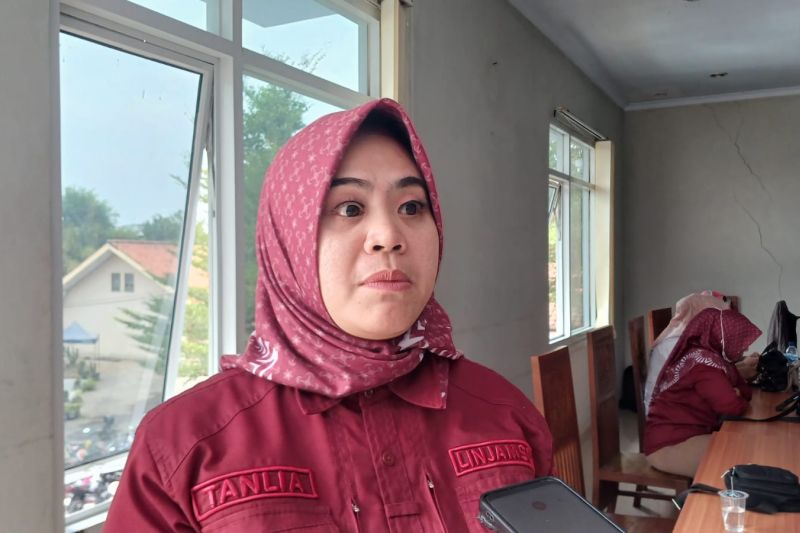 Kepala Bidang Perlindungan dan Jaminan Sosial (Limjasos) Dinsos Kota Serang, Tanlia, di Serang, Jumat (13/9/2024). (ANTARA/Desi Purnama Sari)