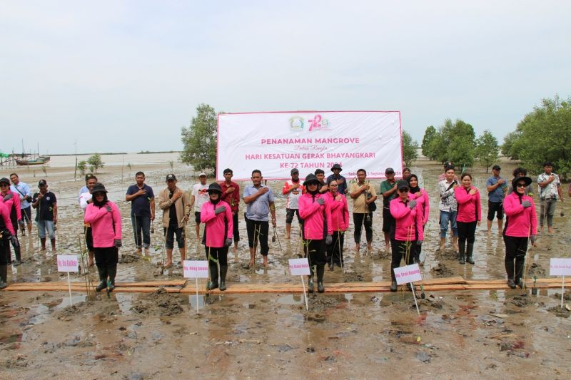 Bhayangkari Tanam 1.000 Pohon Mangrove di Pulau Sebatik