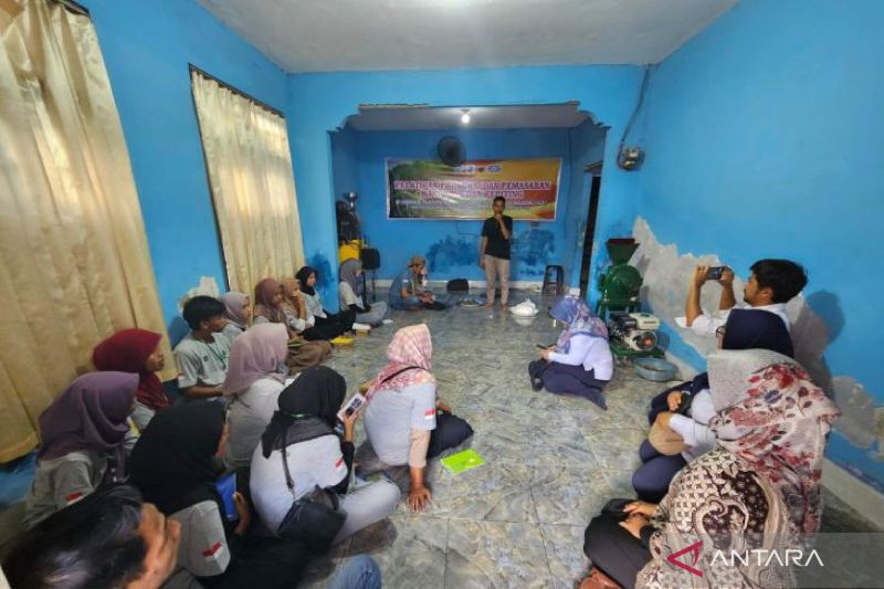 PLN Dukung UMKM Mataram Kembangkan Produk Olahan Mangrove dan Kepiting