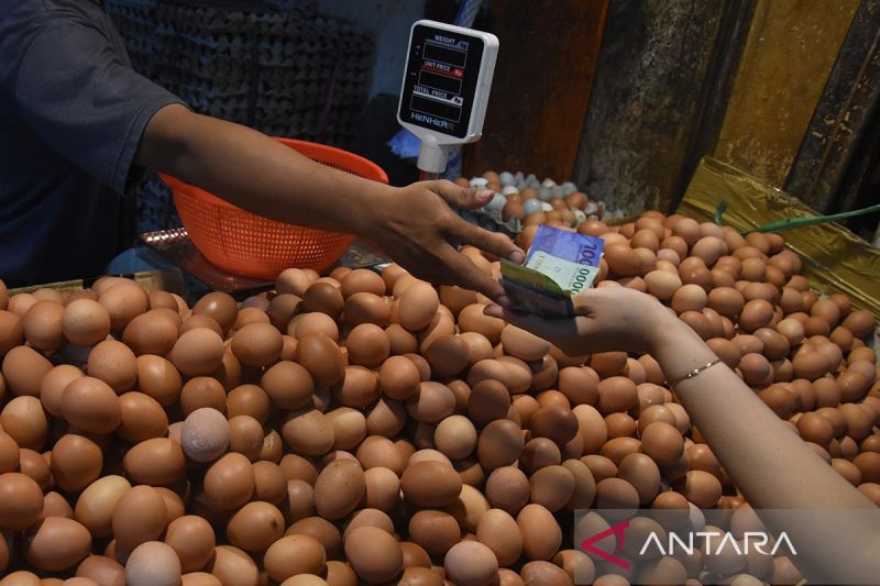 Kenaikan Harga Pangan, Telur Ayam Ras Capai Rp28.610 per Kg