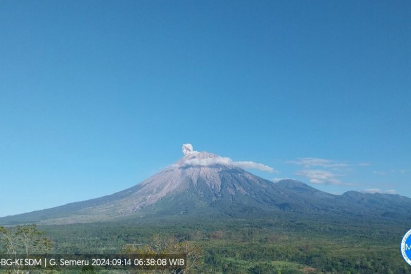 Gunung Semeru erupsi dengan letusan setinggi 700 meter di atas puncak pada Sabtu (14/9/2024). (ANTARA/HO-PVMBG)