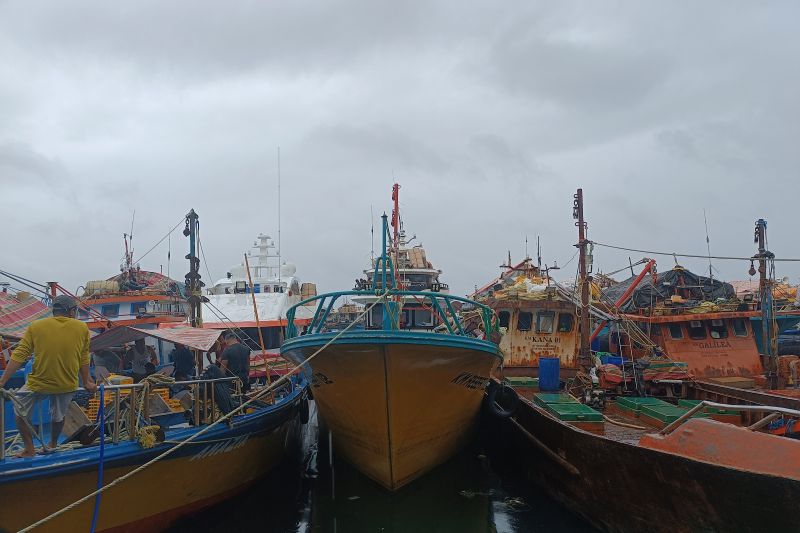 Tinggi gelombang beberapa wilayah perairan di Sulawesi Utara dan sekitarnya diperkirakan antara 6 - 25 knot. Nelayan diharapkan berhati-hati apabila melakukan aktivitas di wilayah perairan dengan tinggi gelombang tersebut. ANTARA/Karel A Polakitan