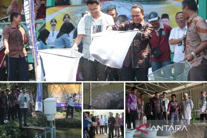Bantuan Sarana Budidaya Perikanan Diberikan di Bangka Tengah