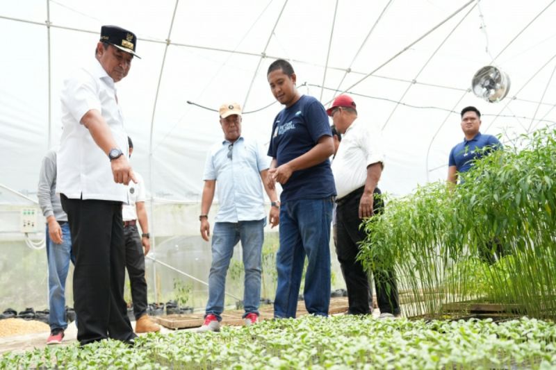 Gubernur Sulbar Dorong Pembuatan Merek Produk Perkebunan Lokal