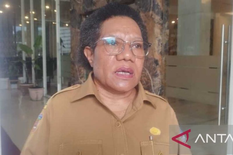 Dinas Tanaman Pangan Jayapura Dorong Penanaman Cabai untuk Atasi Inflasi