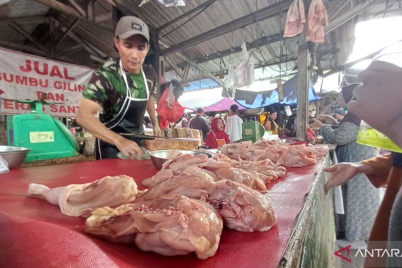 Stok Daging Ayam dan Sapi Stabil Jelang Maulid Nabi di Babel
