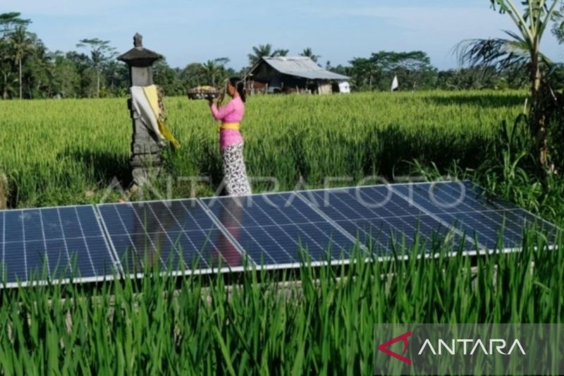 Strategi Pertanian Karbon untuk Mitigasi Perubahan Iklim di Indonesia