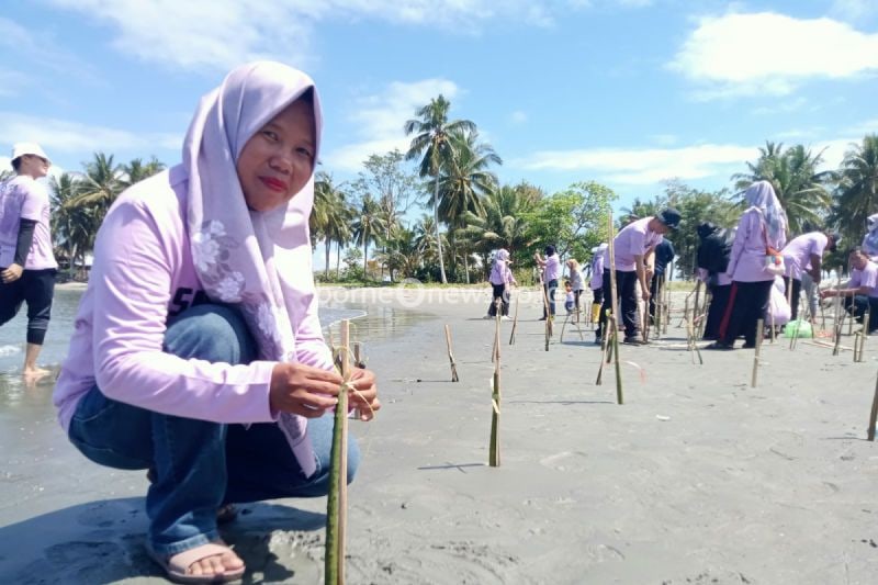Siswa Polewali Mandar Tanam Mangrove Dukung Program Lingkungan