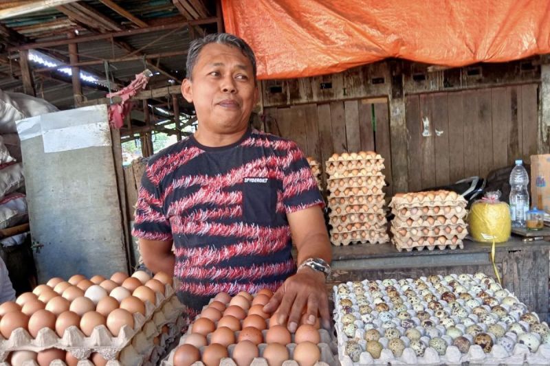 Harga Telur Ayam Ras dan Ayam Potong Naik Jelang Maulid Nabi