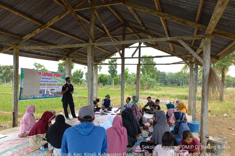 Peningkatan Produksi Pertanian Melalui Sekolah Lapangan Petani