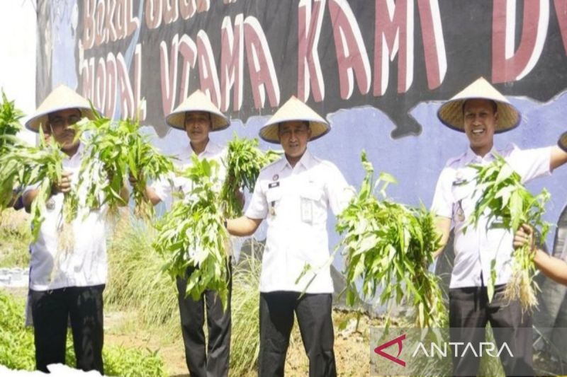 Lapas Karang Intan Panen 50 Kg Sayur Kangkung Sebagai Program Kemandirian