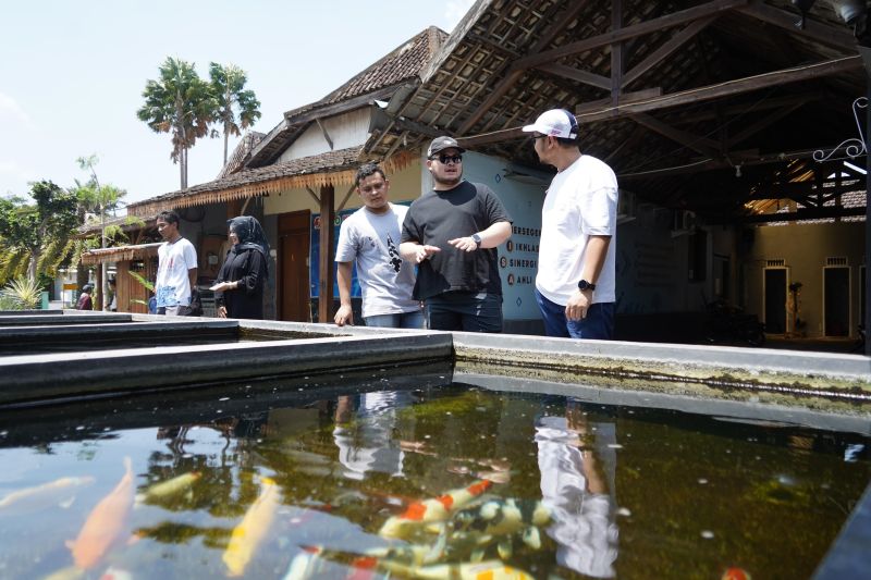 Pemerintah Kediri Kembangkan Budi Daya Ikan Koi untuk Ekonomi Lokal