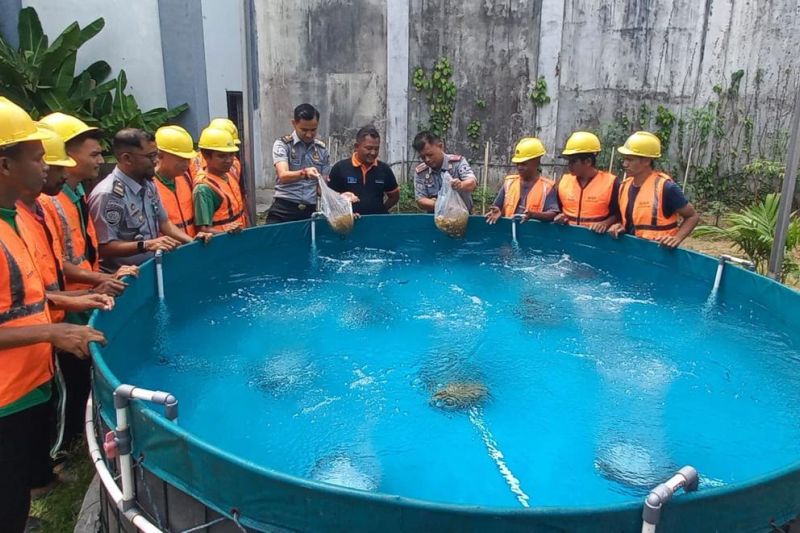 Lapas Batam Kembangkan Budidaya Ikan Nila dengan Bioflok untuk Warga Binaan
