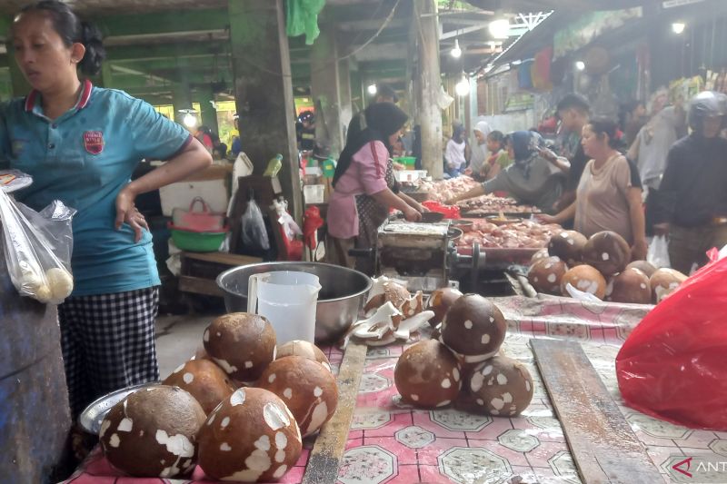 Pasokan Telur Ayam di Babel Naik 31,5 Ton untuk Stabilkan Harga
