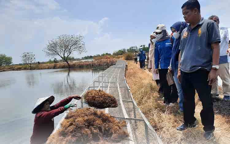 Pj Bupati Seruyan Ikuti Knowledge Sharing Budi Daya Rumput Laut dan Kepiting di Sidoarjo