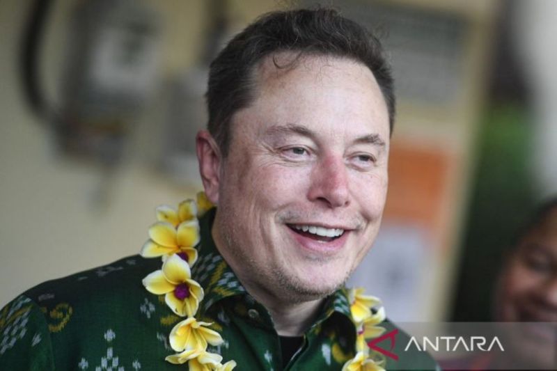 Elon Musk Tuduh Tokoh Demokrat Dorong Kematian Donald Trump