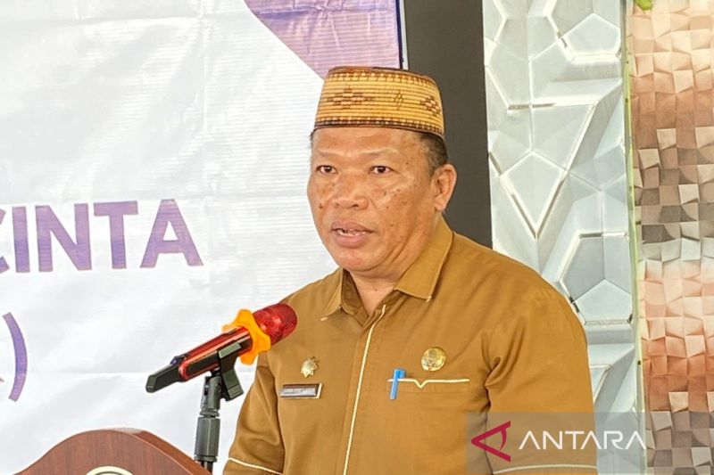 Asisten Perekonomian dan Pembangunan Sekretaris Daerah Kabupaten Gorontalo Darwin Romy Sjahrain memberikan sambutan pada pencanangan Desa Cinta Statistik atau Desa Cantik tahun 2024 di Desa Molopatodu, Kabupaten Gorontalo, Gorontalo. (ANTARA/HO-Diskominfo Kabupaten Gorontalo)