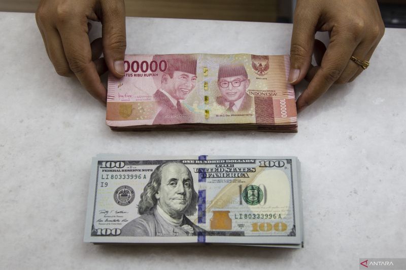 Petugas menunjukkan mata uang rupiah dan dolar AS di Ayu Masagung Money Changer, Jakarta, Senin (26/8/2024). ANTARA FOTO/Dhemas Reviyanto/foc.