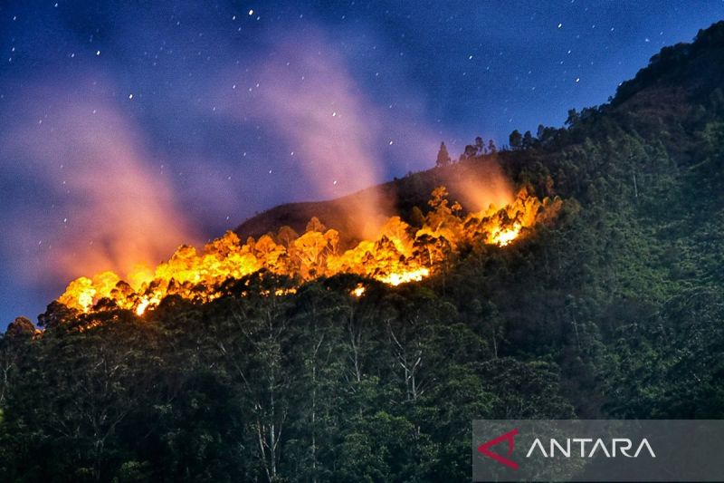 Pemerintah Lombok Tengah Ingatkan Bahaya Pembakaran Lahan