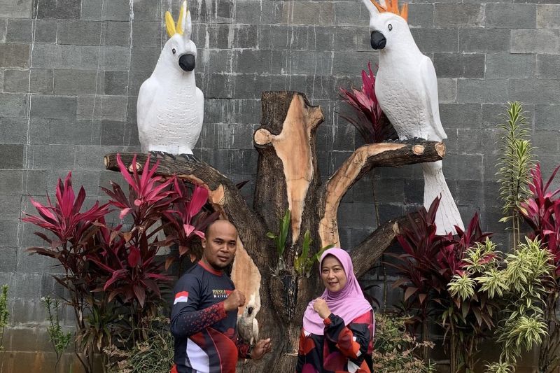 BKSDA Maluku Terima Penyerahan Satwa Liar Secara Sukarela