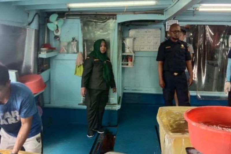 Balai Karantina Hewan Ikan dan Tumbuhan Maluku (Karantina Maluku) Satuan Pelayanan Pelabuhan Laut Tual bersama instansi terkait melakukan kegiatan pengawasan di keramba jaring apung (KJA) milik CV Indo Marine Fish di perairan Pulau Dullah Selatan Kota Tual. ANTARA/Ho- BKHIT Maluku.