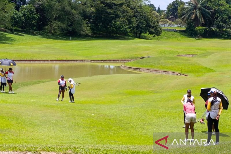 Pertandingan golf PON XXI Aceh Sumut 2024 yang digelar di Royal Sumatra, Medan, Sumatera Utara, Selasa (17/9/2024). (ANTARA/Agatha Olivia Victoria)