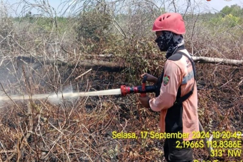 Potensi Kebakaran Hutan di Kalteng Meningkat, Waspada Penting