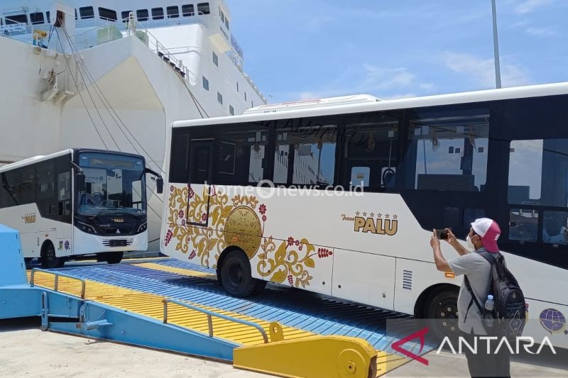 Sebanyak 26 unit Bus Trans Palu milik Pemerintah Kota Palu tiba di Pelabuhan Donggala, Kecamatan Banawa, Kabupaten Donggala (ANTARA/MOH SALAM)