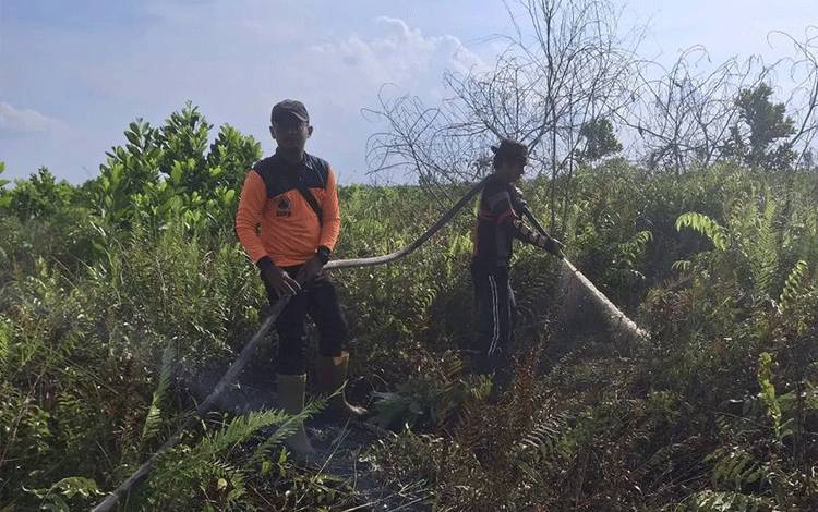 Sejak Awal Tahun hingg Saat ini, 44, 26 Hektare Lahan Terbakar di Palangka Raya