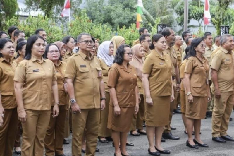 10.508 Pelamar CPNS Pemkot Ambon Lolos Seleksi Administrasi