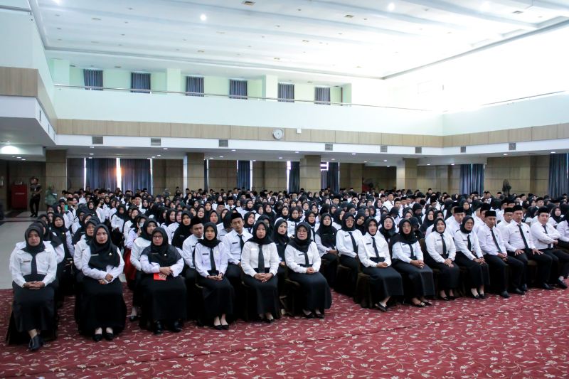 3.519 Pelamar CPNS 2024 Lolos Seleksi Administrasi di Bengkulu