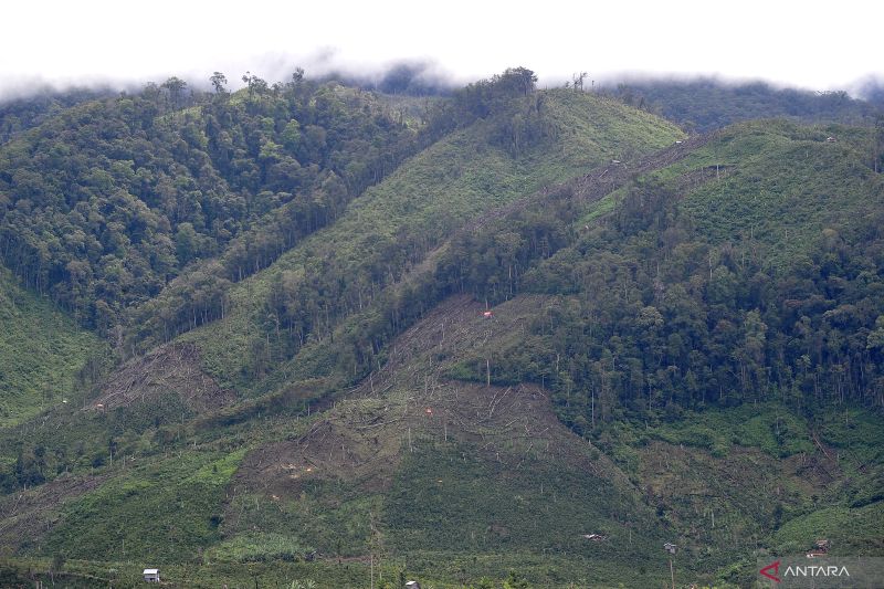 Ilustrasi - Pemandangan kawasan Taman Nasional Kerinci Seblat (TNKS) yang sebagian lahannya telah dibuka di Merangin, Jambi, Sabtu (25/6/2022). Penebangan kayu dan pembukaan ladang secara ilegal dalam kawasan hutan lindung taman nasional tersebut terus terjadi dan bertambah luas dalam beberapa tahun terakhir. ANTARA FOTO/Wahdi Septiawan/wsj.