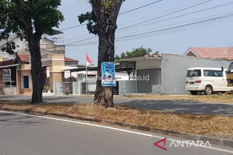 DLH Bengkulu Larang Pemasangan APK di Pohon dan Kawasan Hijau