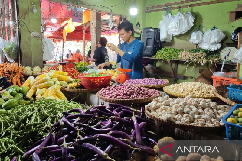 Bawang merah dan bawang putih menjadi salah satu komoditi pangan di Kota Bengkulu penyumbang inflasi. ANTARA/Anggi Mayasari