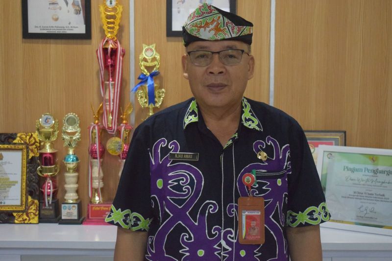 Benuanta Fest 2K24 di Tanjung Selor, Festival Budaya dan Seni Unik