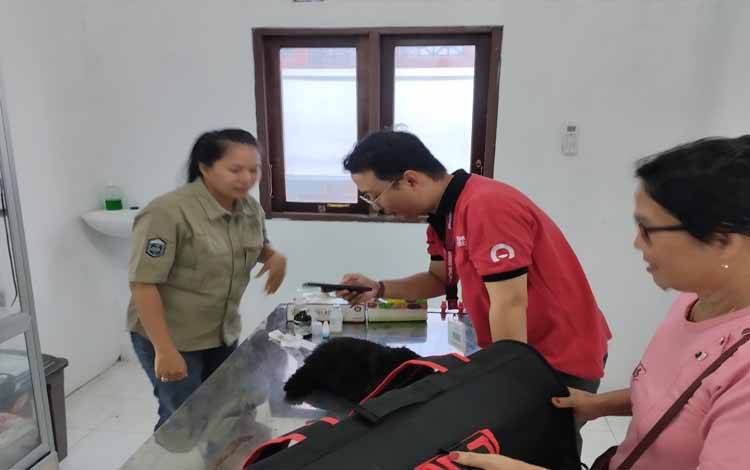 Pelayanan di Klinik Hewan milik Dinas Pertanian dan Ketahanan Pangan Kota Palangka Raya dari dokter hewan kepada masyarakat yang membawa hewan peliharaannya.(FOTO: TESTI PRISCILLA)