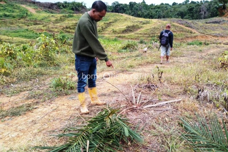 Tim WRU BPBD Aceh Barat Tangani Gangguan Gajah Liar di Meulaboh