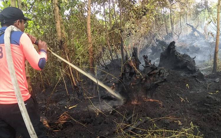 Kebakaran Lahan Meluas di Palangka Raya, Hampir 50 Hektar Terbakar