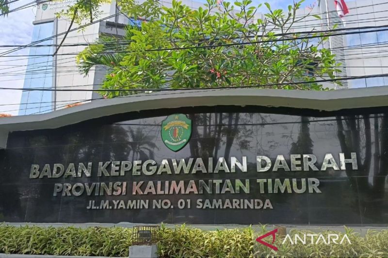6.412 Pendaftar CPNS Kaltim Lolos Seleksi Administrasi 2024