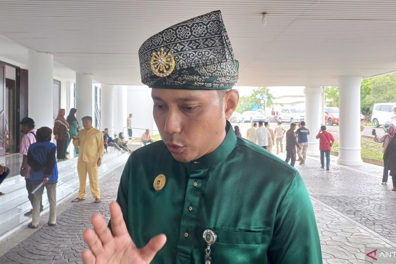 Kepala Dinas Koperasi dan UKM Pemprov Kepri Riki Rionaldi. (ANTARA/Ogen)