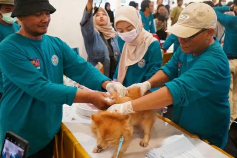 Vaksinasi Ratusan Hewan di Karawang untuk Cegah Rabies